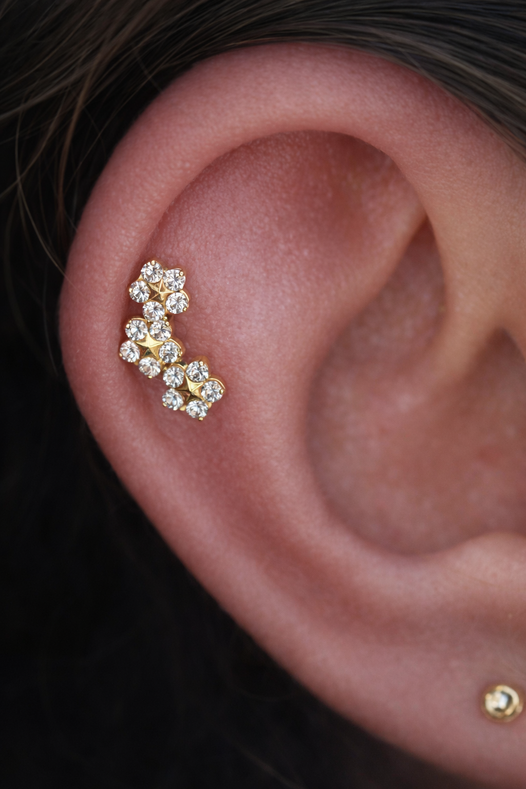 Titan Piercing Schmuck – Blumen-Design mit Zirkonia | Helix, Conch & Lobe