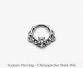 Septum Piercing - Chirurgischer Stahl 316L Daith / Septum 1,2 x 10mm